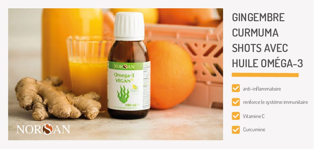 Pack de 10 recettes: GINGEMBRE CURMUMA shots avec Huile Oméga-3